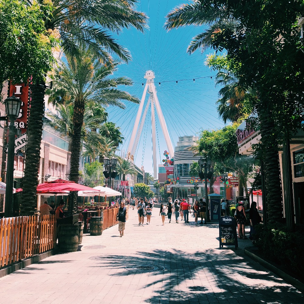 Meet your Posher, Halley